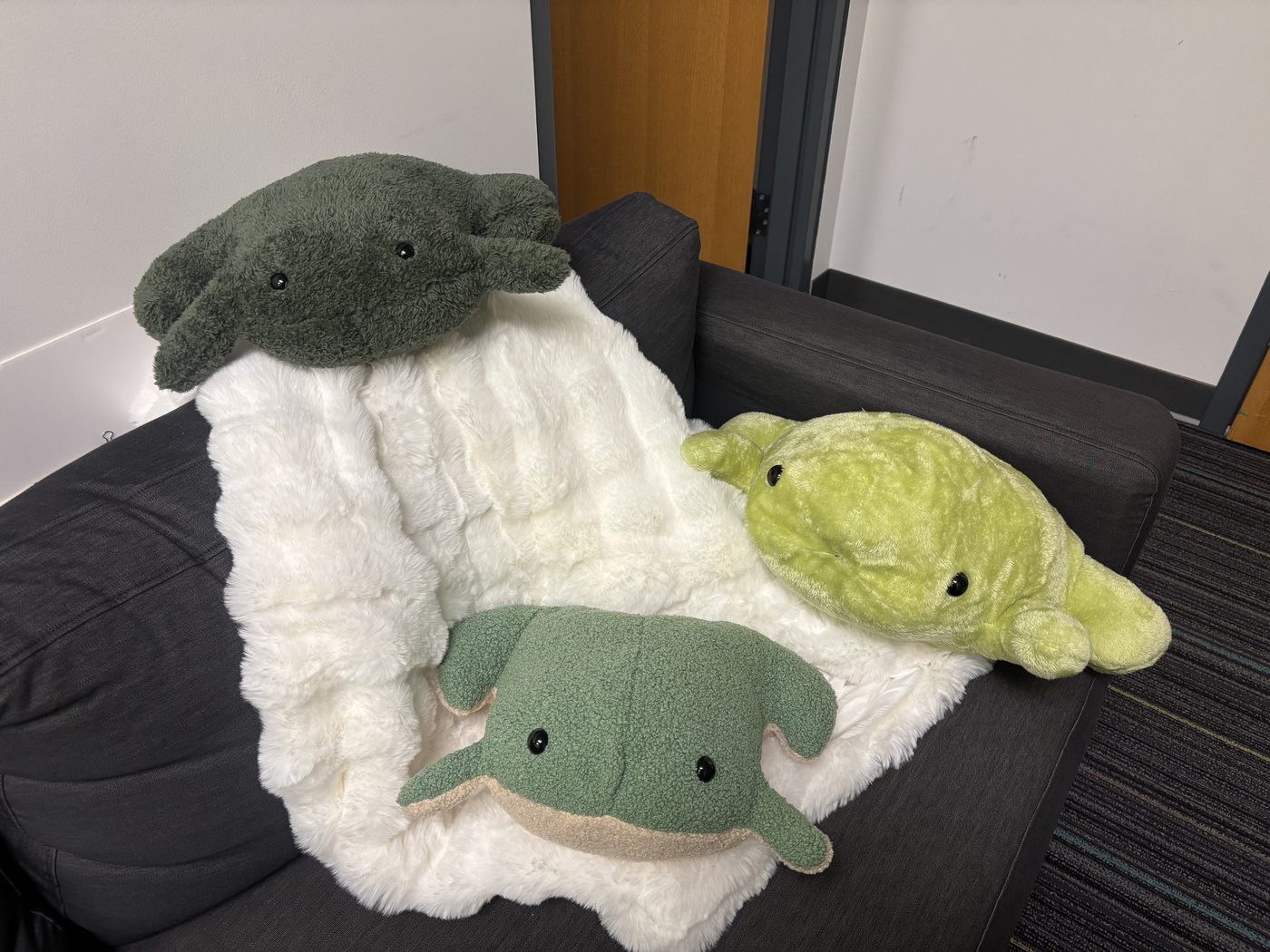 three frog plushies on a couch